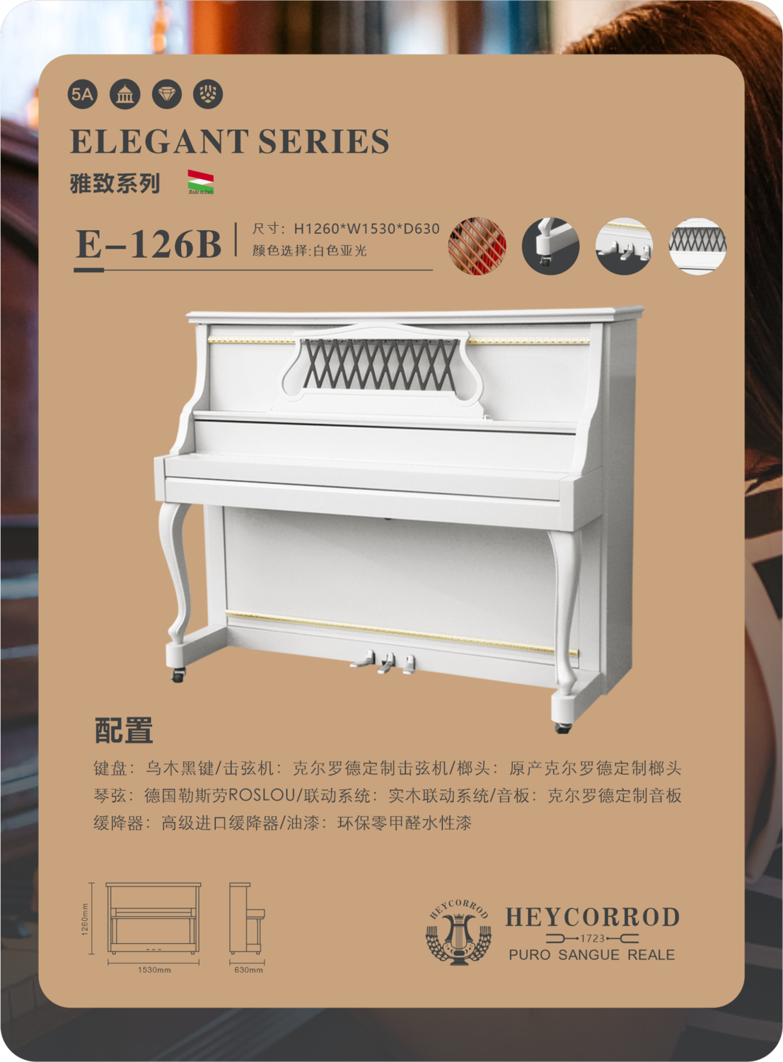 E-126B配置.png