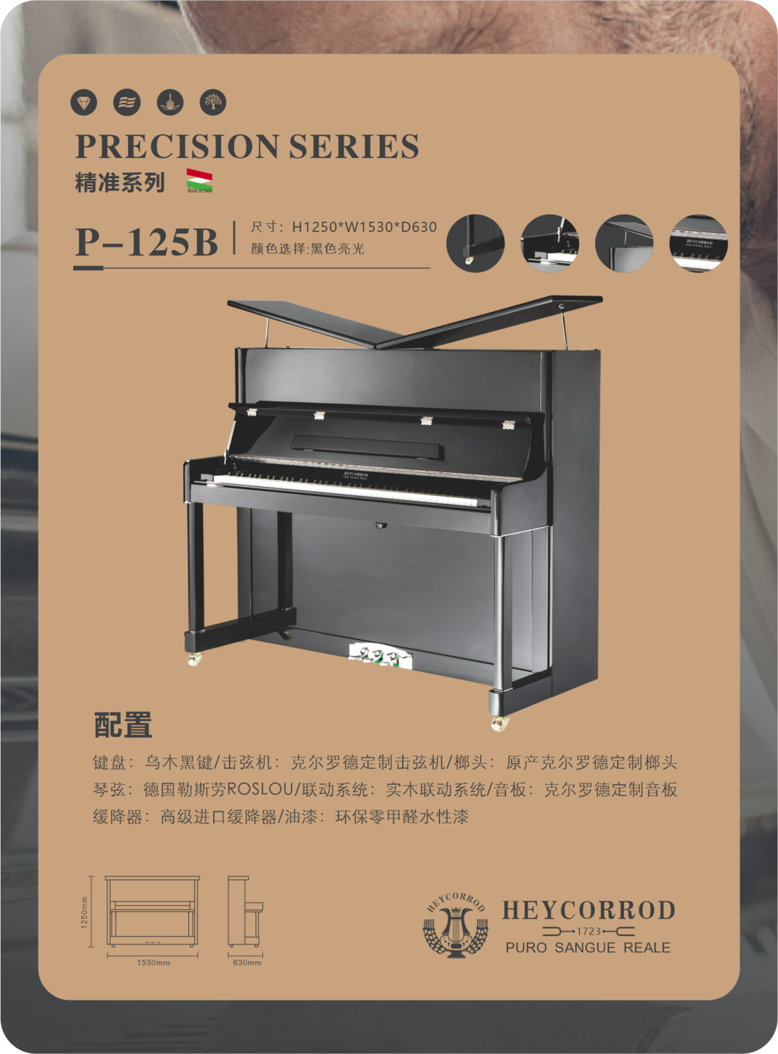 P-125B配置.png